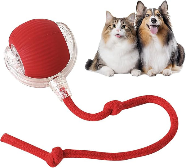 RolliePet smart chase pet toy ball